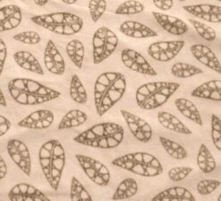 Robens Wolf Moon 5XP Tent Package -Travel And Tent robens carpet 1