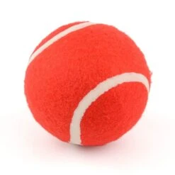 Powerplay Deluxe Size 3 Cricket Set -Travel And Tent se wue0q 1